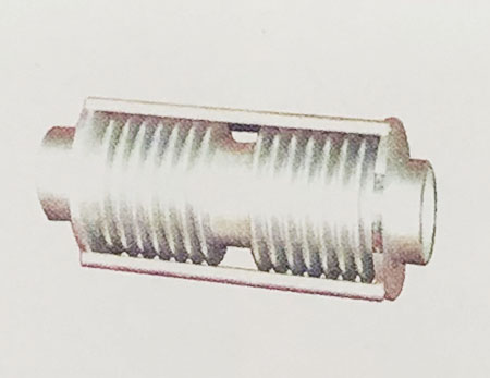 ��ʽ��������Û��